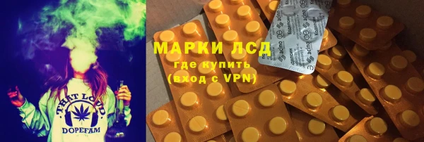 PSILOCYBIN Армянск