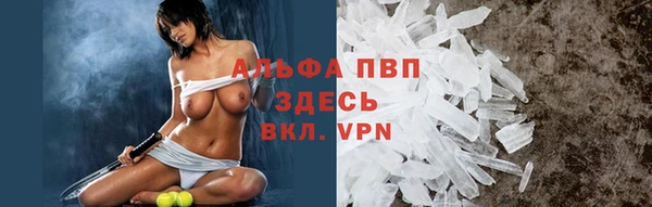 a pvp Аркадак