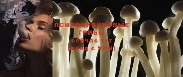 PSILOCYBIN Армянск