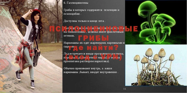 MESCALINE Арсеньев