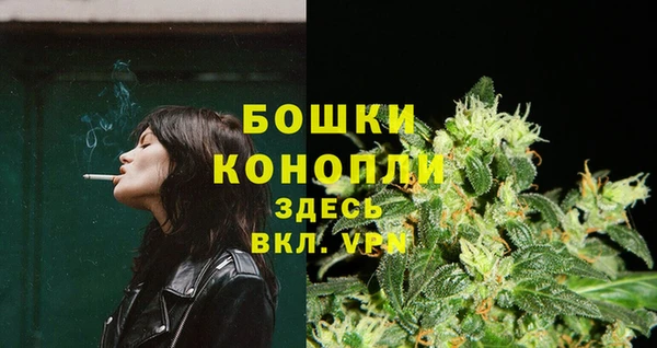 PSILOCYBIN Армянск