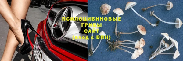 a pvp Аркадак
