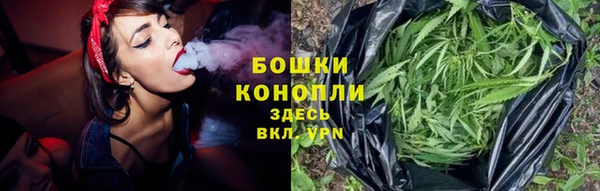 PSILOCYBIN Армянск